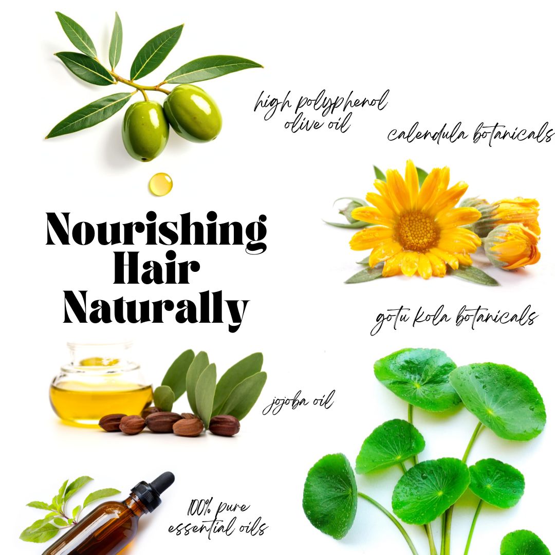 Ingredients for Olive Farmacy Hair Oil: high polyphenol olive oil, calendula botanicals, jojoba oil, gotu kola botanicals, pure essential oils. 